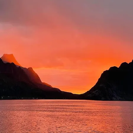 Reinehuset-amazing Place In Reine Ferienhaus Moskenes