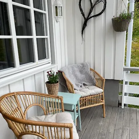 Reinehuset-amazing Place In Reine